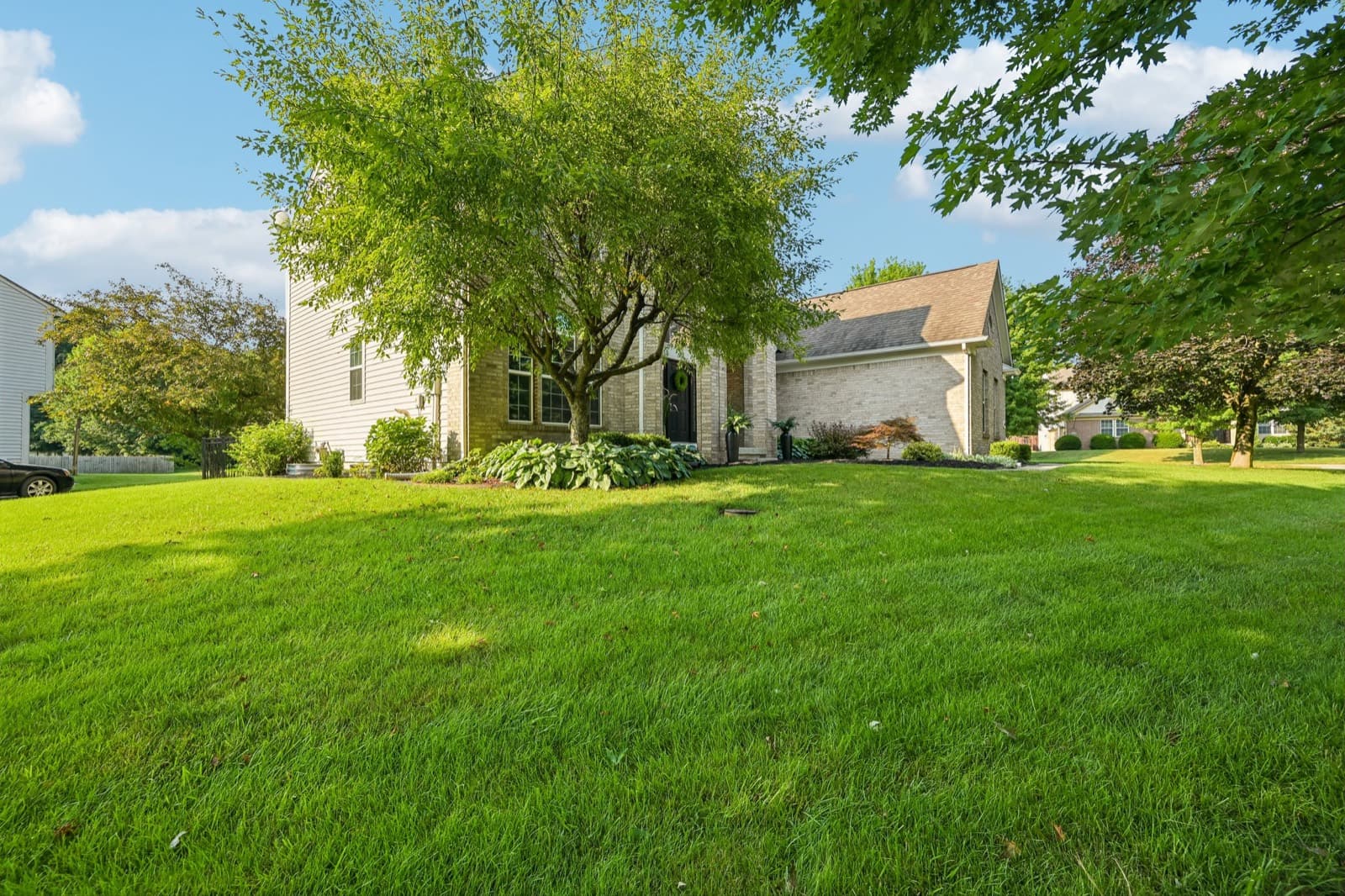 Front lawn and mature trees